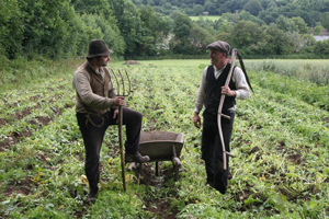 Farming at Morwellham Quay
